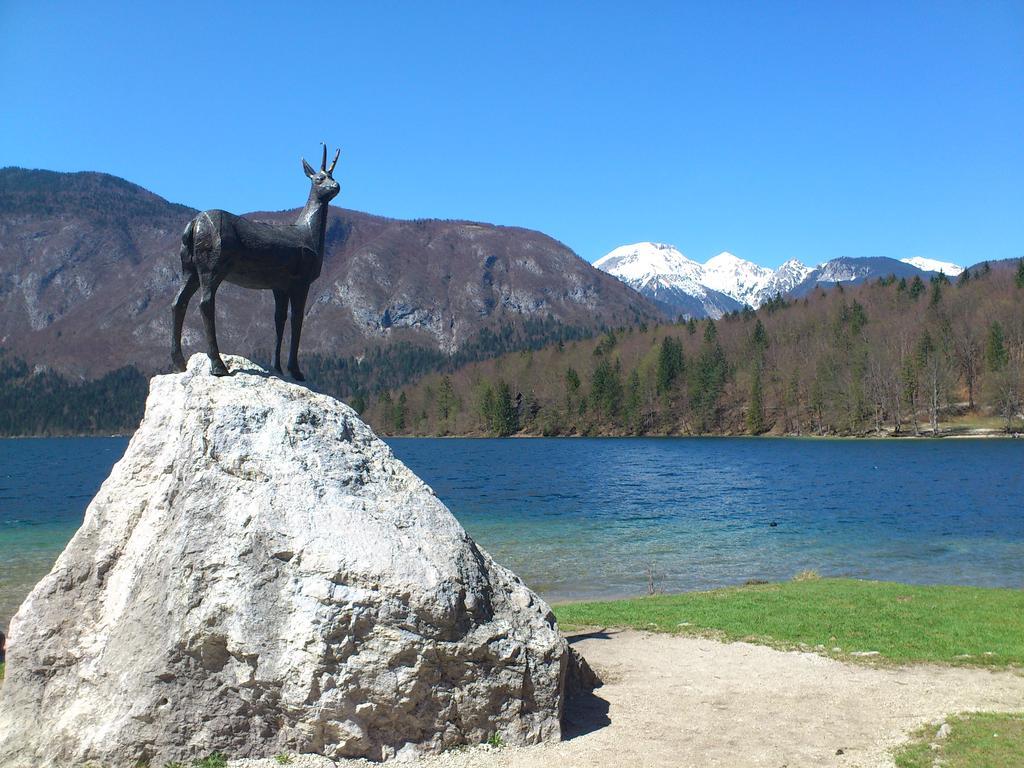 Apartment Bohinjko Екстериор снимка